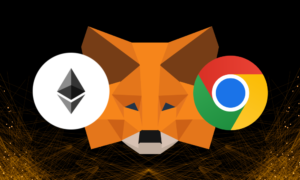 metamask on the browser