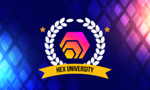 7--HEX-University